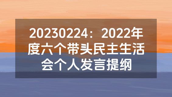 20230224：2022年度六个带头民主生活会个人发言提纲