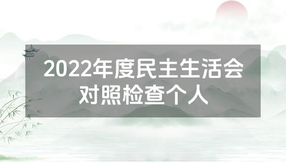 2022年度民主生活会对照检查个人