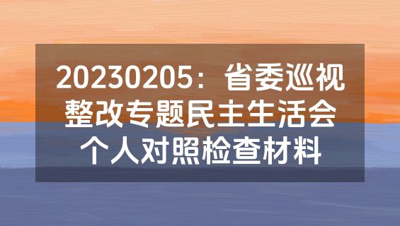 20230205：省委巡视整改专题民主生活会个人对照检查材料