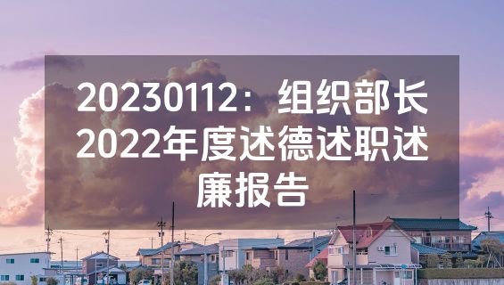 20230112：组织部长2022年度述德述职述廉报告