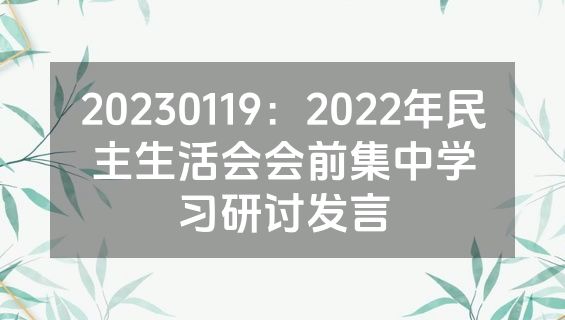 20230119：2022年民主生活会会前集中学习研讨发言