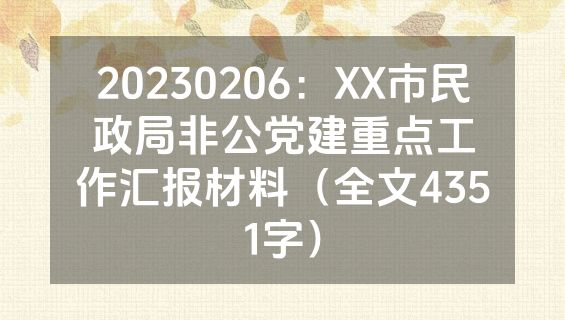 20230206：XX市民政局非公党建重点工作汇报材料（全文4351字）