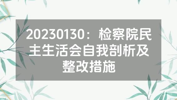 20230130：检察院民主生活会自我剖析及整改措施