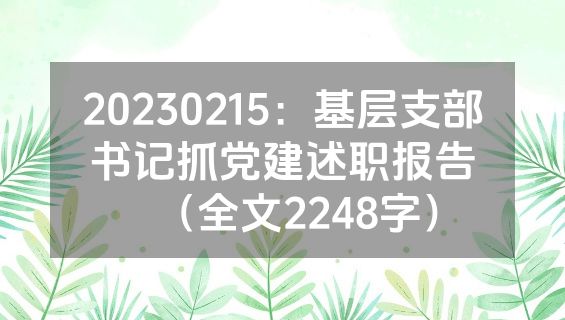 20230215：基层支部书记抓党建述职报告（全文2248字）
