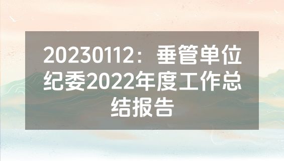 20230112：垂管单位纪委2022年度工作总结报告
