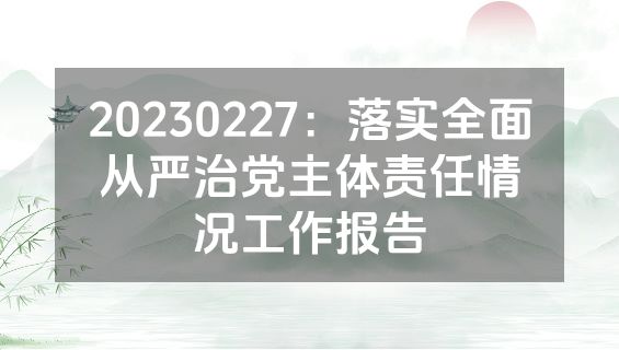 20230227：落实全面从严治党主体责任情况工作报告