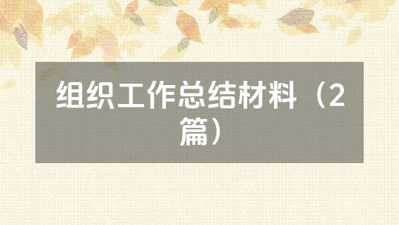 组织工作总结材料（2篇）