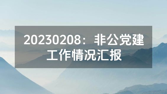 20230208：非公党建工作情况汇报