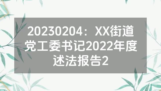 20230204：XX街道党工委书记2022年度述法报告2