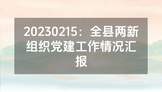 20230215：全县两新组织党建工作情况汇报