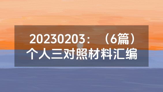 20230203：（6篇）个人三对照材料汇编