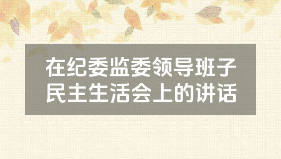 在纪委监委领导班子民主生活会上的讲话