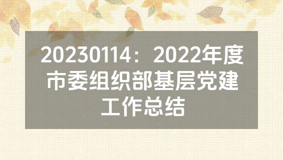 20230114：2022年度市委组织部基层党建工作总结