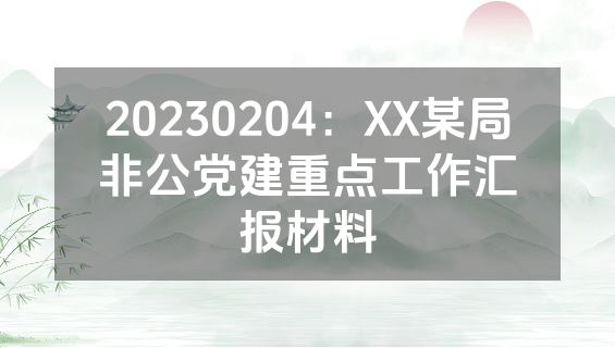 20230204：XX某局非公党建重点工作汇报材料