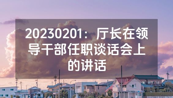 20230201：厅长在领导干部任职谈话会上的讲话