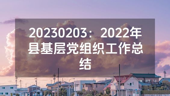 20230203：2022年县基层党组织工作总结