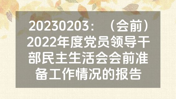 20230203：（会前）2022年度党员领导干部民主生活会会前准备工作情况的报告