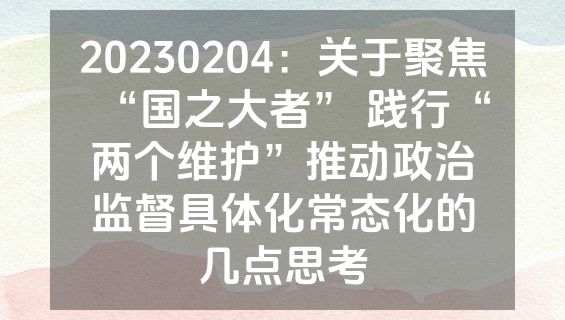 20230204：关于聚焦“国之大者” 践行“两个维护”推动政治监督具体化常态化的几点思考
