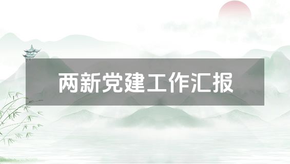 两新党建工作汇报