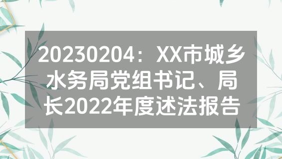 20230204：XX市城乡水务局党组书记、局长2022年度述法报告