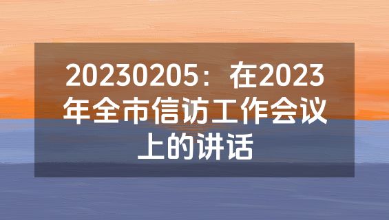 20230205：在2023年全市信访工作会议上的讲话
