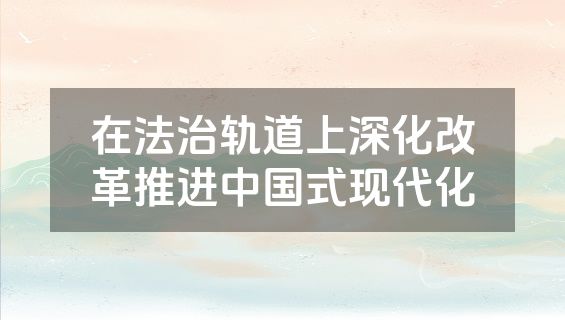在法治轨道上深化改革推进中国式现代化