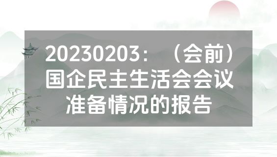 20230203：（会前）国企民主生活会会议准备情况的报告