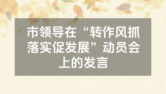 市领导在“转作风抓落实促发展”动员会上的发言