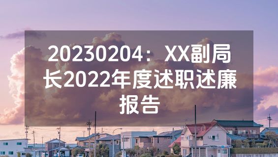 20230204：XX副局长2022年度述职述廉报告
