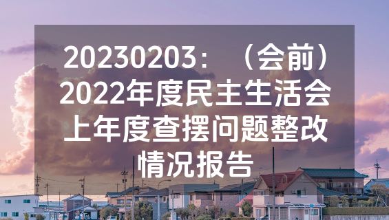 20230203：（会前）2022年度民主生活会上年度查摆问题整改情况报告