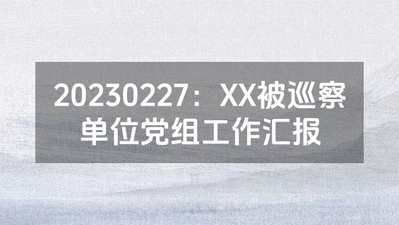 20230227：XX被巡察单位党组工作汇报