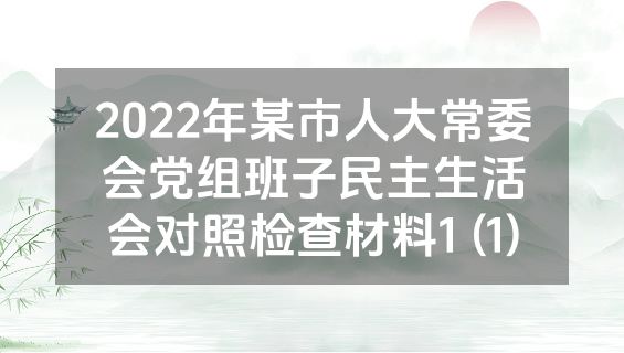 2022年某市人大常委会党组班子民主生活会对照检查材料1 (1)