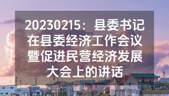 20230215：县委书记在县委经济工作会议暨促进民营经济发展大会上的讲话