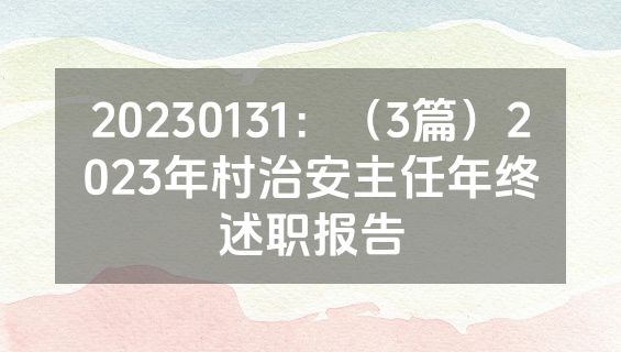 20230131：（3篇）2023年村治安主任年终述职报告