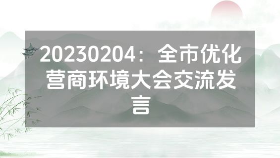 20230204：全市优化营商环境大会交流发言