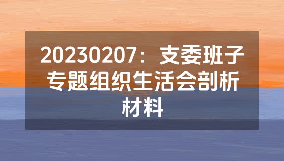 20230207：支委班子专题组织生活会剖析材料