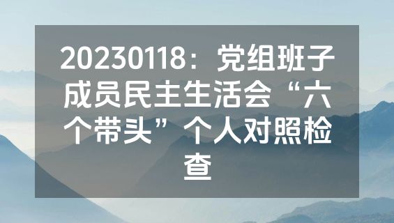 20230118：党组班子成员民主生活会“六个带头”个人对照检查