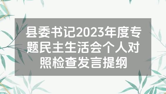 县委书记2023年度专题民主生活会个人对照检查发言提纲