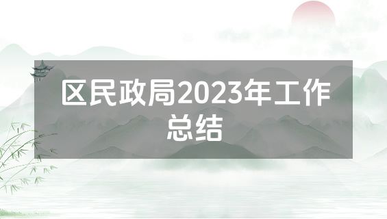 区民政局2023年工作总结
