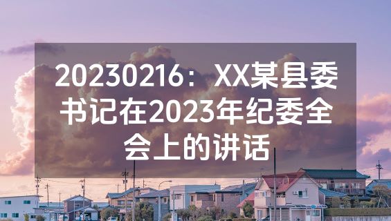 20230216：XX某县委书记在2023年纪委全会上的讲话