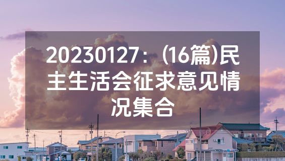 20230127：(16篇)民主生活会征求意见情况集合
