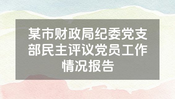 某市财政局纪委党支部民主评议党员工作情况报告