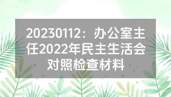 20230112：办公室主任2022年民主生活会对照检查材料