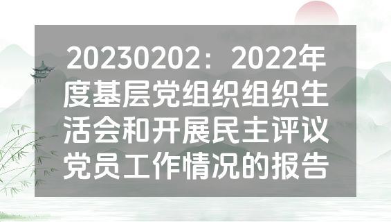 20230202：2022年度基层党组织组织生活会和开展民主评议党员工作情况的报告