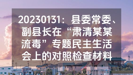 20230131：县委常委、副县长在“肃清某某流毒”专题民主生活会上的对照检查材料
