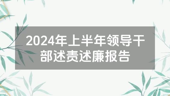2024年上半年领导干部述责述廉报告