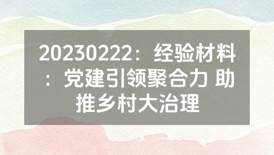20230222：经验材料：党建引领聚合力 助推乡村大治理