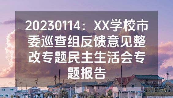 20230114：XX学校市委巡查组反馈意见整改专题民主生活会专题报告