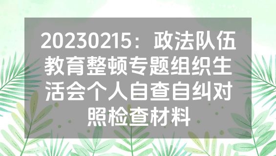 20230215：政法队伍教育整顿专题组织生活会个人自查自纠对照检查材料