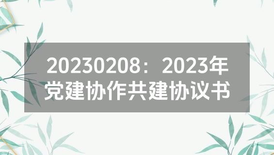 20230208：2023年党建协作共建协议书
